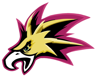Philadelphia Eagles Anime Logo iron on transfers